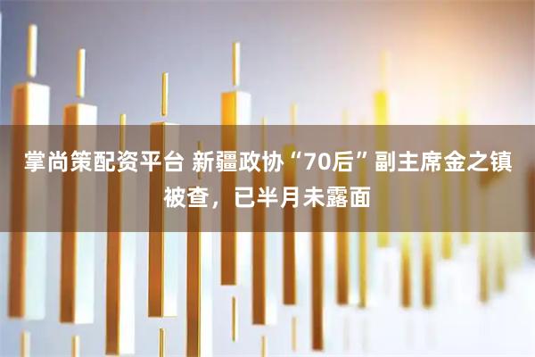 掌尚策配资平台 新疆政协“70后”副主席金之镇被查,已半月未露面