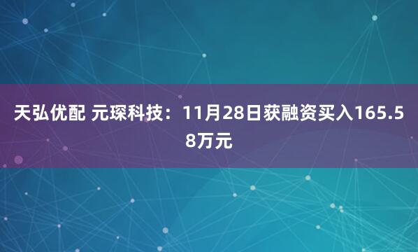 天弘优配 元琛科技：11月28日获融资买入165.58万元